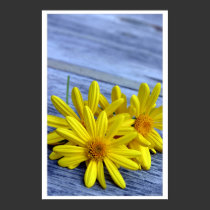 for you posters by HAJenkins for you posters