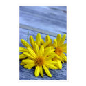 for you posters