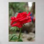 For You Print
