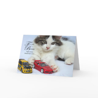 For Your Birthday (Cat) Cards