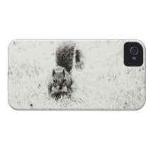 Foraging Squirrel (IR) iPhone 4 Case
