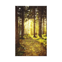 Forbes State Park Sunset Canvas Print