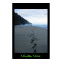 Forbidden Footsteps in Kalalau posters by dovetailmedia Forbidden Footsteps in Kalalau posters