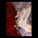 Forbidden Grace