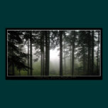 "FORBIDDEN MISTS" Photo Poster posters