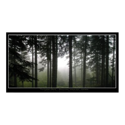 "FORBIDDEN MISTS" Photo Poster by RavenSpiritPrints