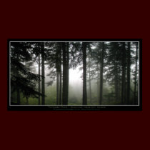 "FORBIDDEN MISTS" Photo Poster posters by RavenSpiritPrints "FORBIDDEN MISTS" Photo Poster posters