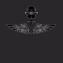 Force Recon T Shirt - Insignia shirt
