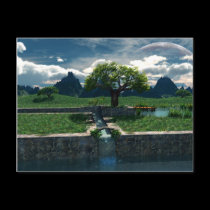 Foreign Oasis Postcard postcards