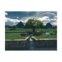 Foreign Oasis Postcard