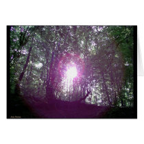 Forenoon in the Forest 2 cards
