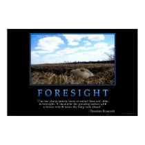 Foresight posters