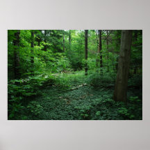 Forest3 Print