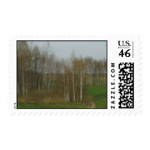 Forest and sky postage stamps