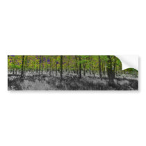 Forest Art Bumper Sticker