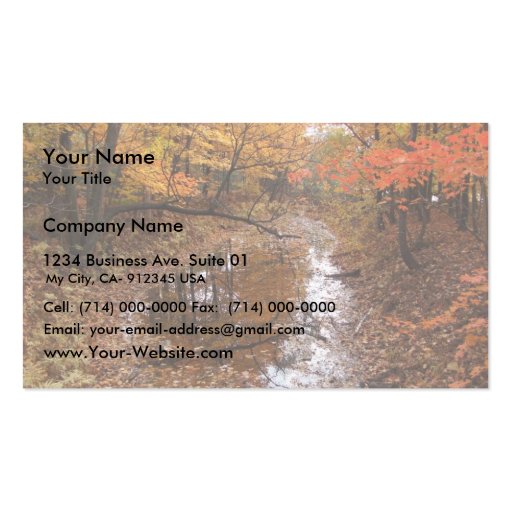 Forest At Automn With Water Business Card (front side)