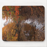 Forest At Automn With Water Mousepad