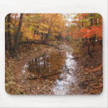 Forest At Automn With Water Mousepads