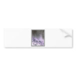 Forest at Dawn Bumper Sticker