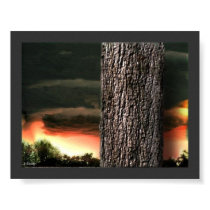 Forest Bark posters by Kaleyedoscopeyes Forest Bark posters