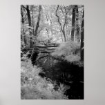 Forest Brook  infrared posters