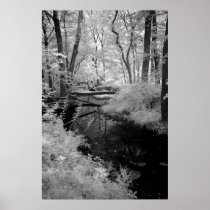 Forest Brook  infrared Posters