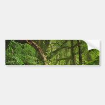 Forest Bumper Stickers