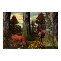 Forest Calm posters by Brian_Simes Forest Calm posters
