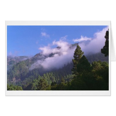 Forest Greeting Card by jupp