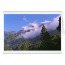 Forest cards by jupp Forest cards