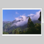 Forest cards