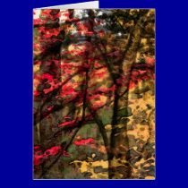 Forest cards