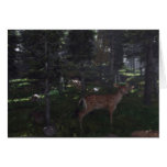 Forest cards