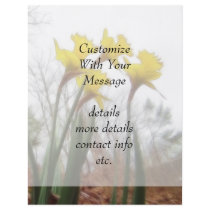 Forest Daffodils Flyer