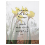 Forest Daffodils flyers