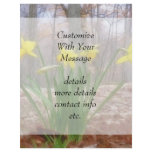 Forest Daffodils In The Spring flyers