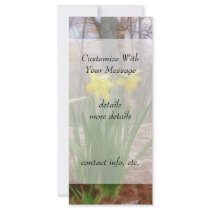 Forest Daffodils In The Spring Rack Card Design