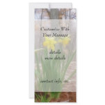 Forest Daffodils In The Spring Rack Card Design