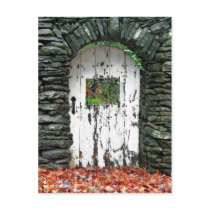 Forest Door postcards