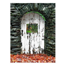 Forest Door Postcard