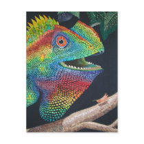 Forest Dragon Post Cards