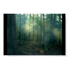 postcard - 