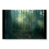 Forest Drama posters by carpenterkat00 Forest Drama posters