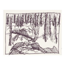 Forest Drawing Poster posters