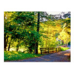 forest fairytale postcards