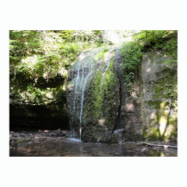 Forest Falls posters by thecitymix Forest Falls posters
