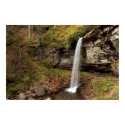 Forest Falls  Print