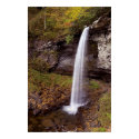 Forest Falls  Print