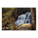 Forest Falls  Print