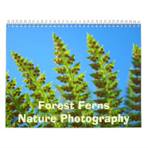 Forest Ferns Nature Photography Calendar Green
